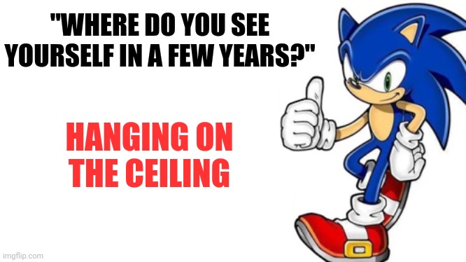 Sonic says | "WHERE DO YOU SEE YOURSELF IN A FEW YEARS?"; HANGING ON THE CEILING | image tagged in sonic says,help me | made w/ Imgflip meme maker