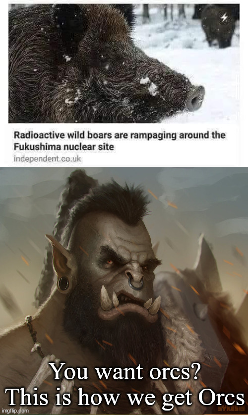 Great, now we will get some orcs | You want orcs? This is how we get Orcs | image tagged in zug zug orc | made w/ Imgflip meme maker