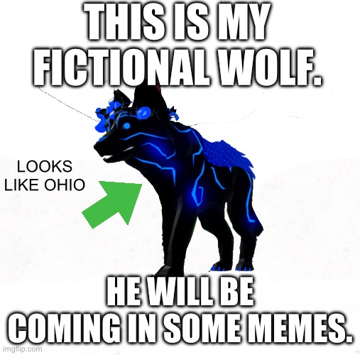 MAYBE HE IS | THIS IS MY FICTIONAL WOLF. LOOKS LIKE OHIO; HE WILL BE COMING IN SOME MEMES. | made w/ Imgflip meme maker