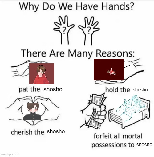 Why do we have hands? (all blank) | shosho; shosho; shosho; shosho | image tagged in why do we have hands all blank | made w/ Imgflip meme maker