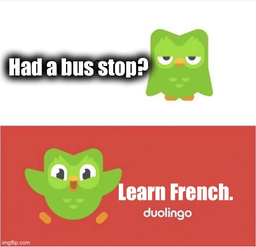 Duolingo Bus Stop Ad | Had a bus stop? Learn French. | image tagged in duolingo,duolingo bird | made w/ Imgflip meme maker