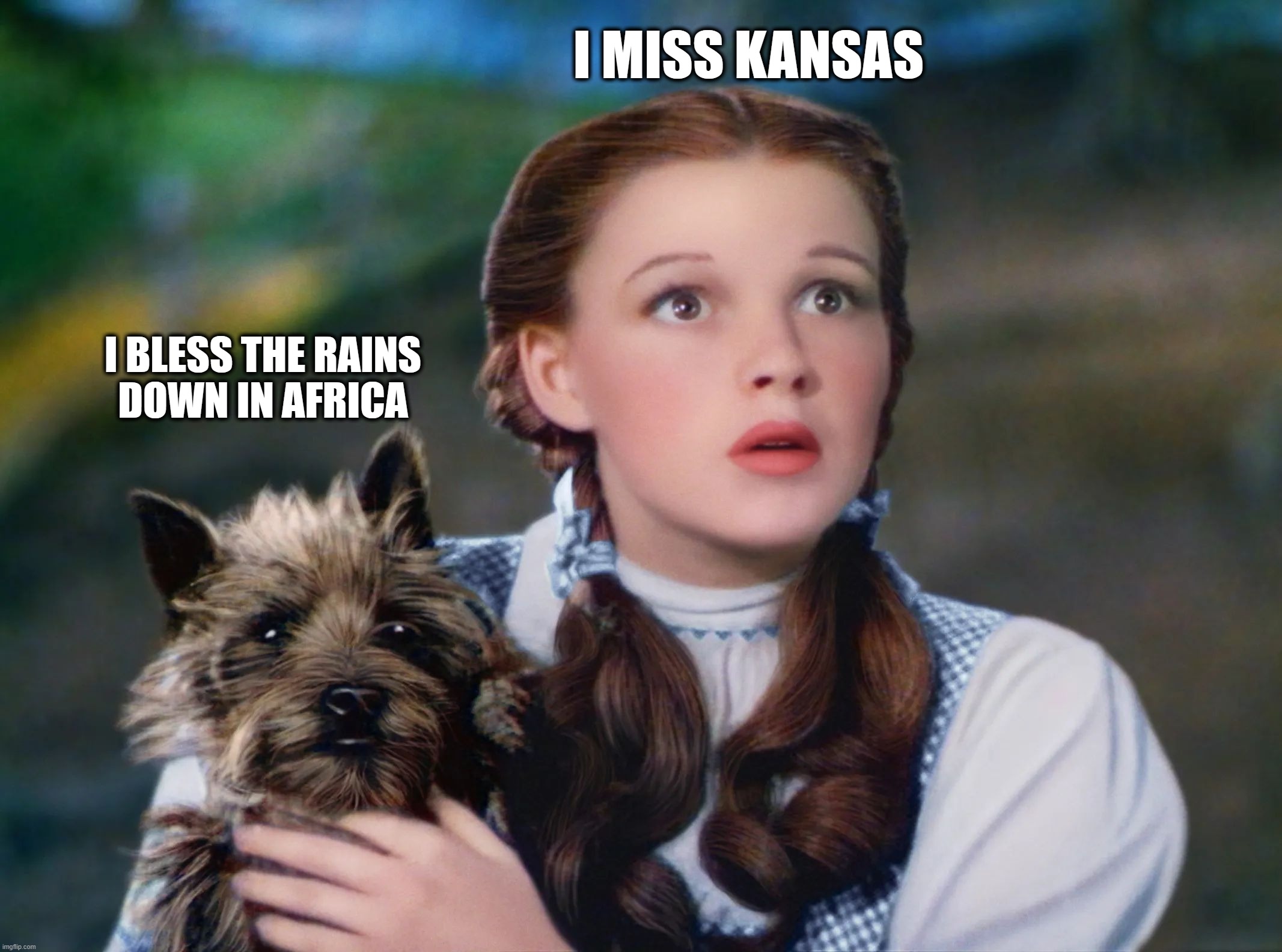The Wizard Of OZ TOTO | I MISS KANSAS; I BLESS THE RAINS
DOWN IN AFRICA | image tagged in wizard of oz,toto,correct quote | made w/ Imgflip meme maker