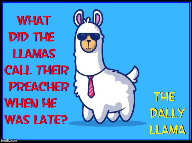 Dally:  dal·ly. verb.  1.  act or move slowly. | image tagged in vince vance,llamas,kids jokes,memes,riddles,comics/cartoons | made w/ Imgflip meme maker