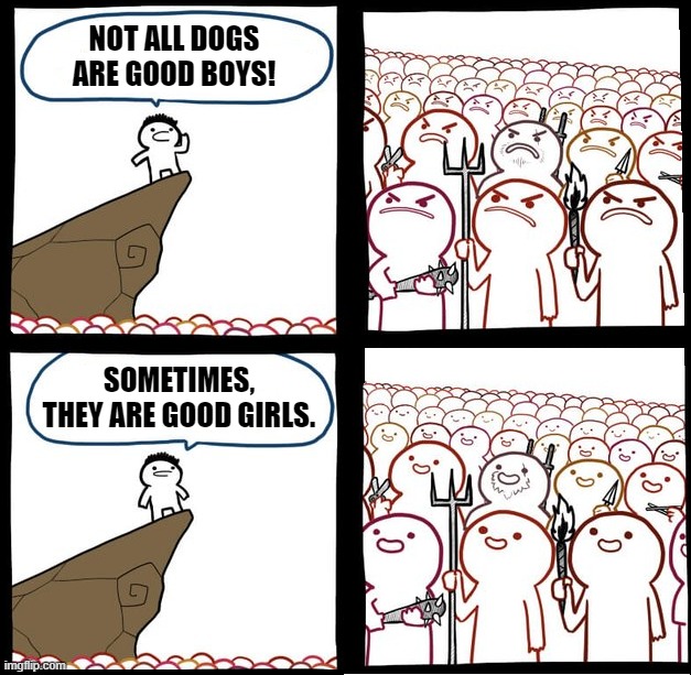 Preaching to the mob | NOT ALL DOGS ARE GOOD BOYS! SOMETIMES, THEY ARE GOOD GIRLS. | image tagged in preaching to the mob | made w/ Imgflip meme maker