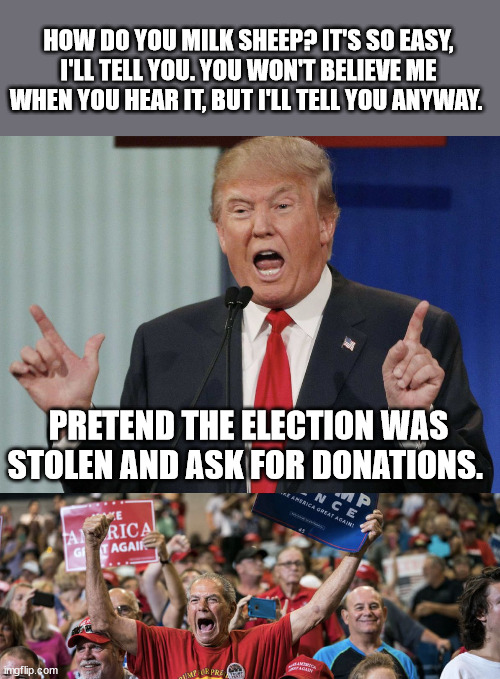 Trump drops massive truth bomb at rally! | HOW DO YOU MILK SHEEP? IT'S SO EASY, I'LL TELL YOU. YOU WON'T BELIEVE ME WHEN YOU HEAR IT, BUT I'LL TELL YOU ANYWAY. PRETEND THE ELECTION WAS STOLEN AND ASK FOR DONATIONS. | image tagged in trump rally | made w/ Imgflip meme maker