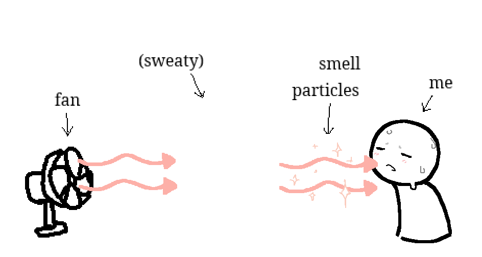 High Quality Sweaty Blank Meme Template