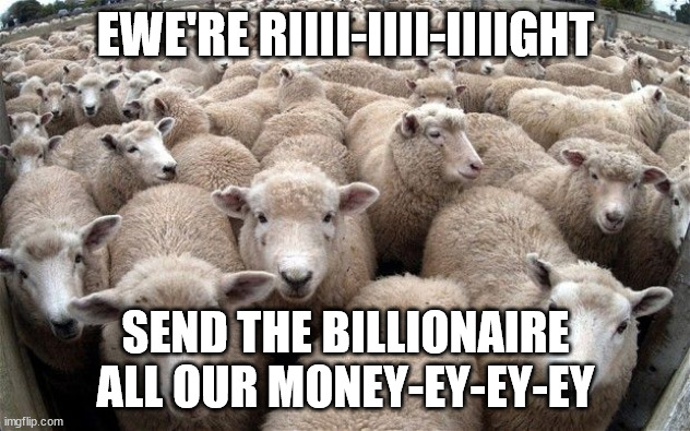 sheeple | EWE'RE RIIII-IIII-IIIIGHT SEND THE BILLIONAIRE ALL OUR MONEY-EY-EY-EY | image tagged in sheeple | made w/ Imgflip meme maker
