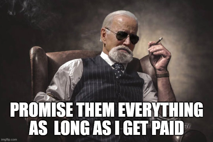 Biden R Joe | PROMISE THEM EVERYTHING
AS  LONG AS I GET PAID | image tagged in joe biden,biden | made w/ Imgflip meme maker