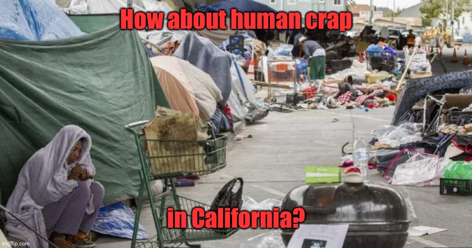 3rd world country? Nope San Francisco | How about human crap in California? | image tagged in 3rd world country nope san francisco | made w/ Imgflip meme maker