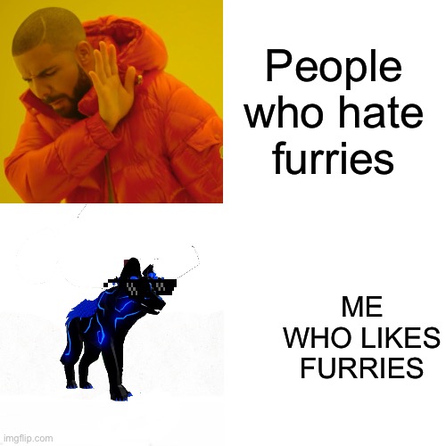 Drake Hotline Bling Meme | People who hate furries ME WHO LIKES FURRIES | image tagged in memes,drake hotline bling | made w/ Imgflip meme maker