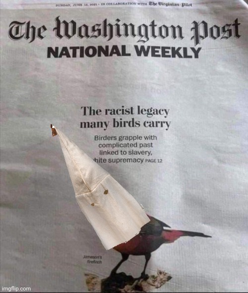 Racist birds. | image tagged in memes | made w/ Imgflip meme maker