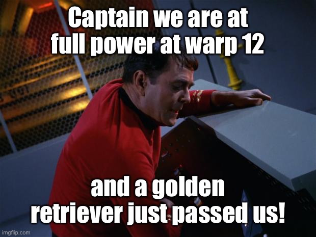 Scotty More Power | Captain we are at full power at warp 12 and a golden retriever just passed us! | image tagged in scotty more power | made w/ Imgflip meme maker