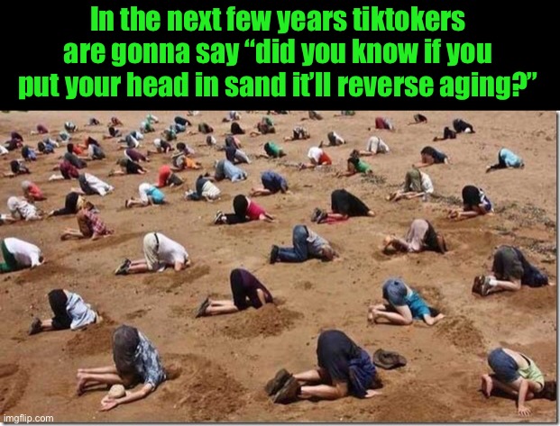 Head in sand | In the next few years tiktokers are gonna say “did you know if you put your head in sand it’ll reverse aging?” | image tagged in head in sand | made w/ Imgflip meme maker