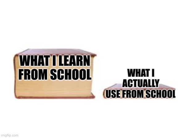 School in a nutshell: | image tagged in school,learn | made w/ Imgflip meme maker