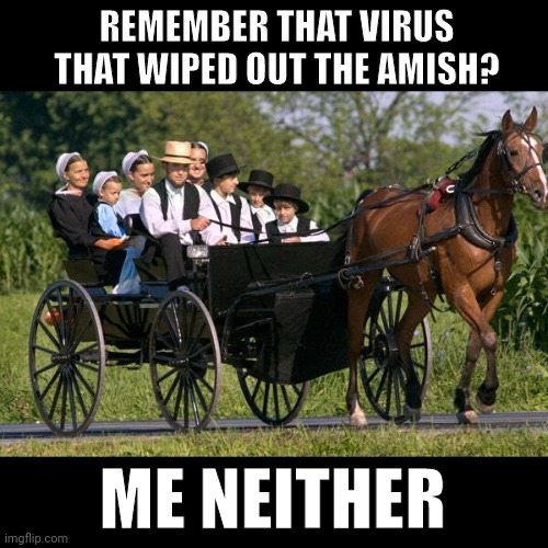 Healthiest people in America it seems. | REMEMBER THAT VIRUS THAT WIPED OUT THE AMISH? ME NEITHER | image tagged in memes | made w/ Imgflip meme maker