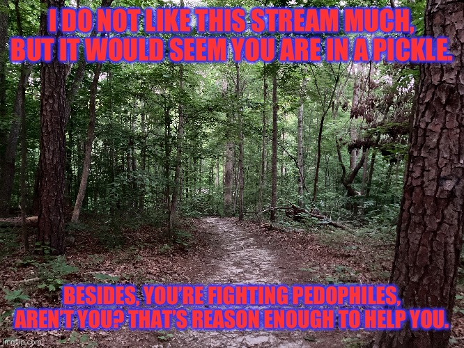 I DO NOT LIKE THIS STREAM MUCH, BUT IT WOULD SEEM YOU ARE IN A PICKLE. BESIDES, YOU’RE FIGHTING PEDOPHILES, AREN’T YOU? THAT’S REASON ENOUGH TO HELP YOU. | made w/ Imgflip meme maker