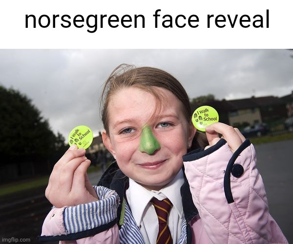do NOT DM Norsegreen at 3AM *NORSEGREEN CAME TO MY HOUSE!* #2501! | norsegreen face reveal | image tagged in norsegreen,nose,green,diagnose,lol,face reveal | made w/ Imgflip meme maker