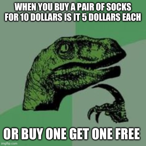 I’m confused | WHEN YOU BUY A PAIR OF SOCKS FOR 10 DOLLARS IS IT 5 DOLLARS EACH; OR BUY ONE GET ONE FREE | image tagged in time raptor | made w/ Imgflip meme maker