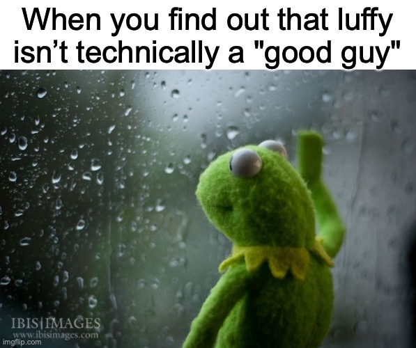 He’s greedy, he’s a pirate and he will hurt other to get what he wants | When you find out that luffy isn’t technically a "good guy" | image tagged in kermit window | made w/ Imgflip meme maker