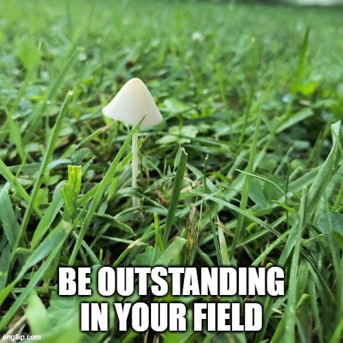 be outstanding | BE OUTSTANDING IN YOUR FIELD | image tagged in mushroom,grass,outstanding | made w/ Imgflip meme maker