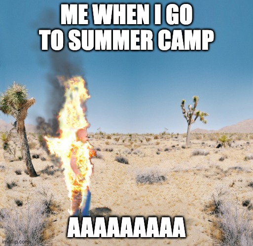 Dry Heat | ME WHEN I GO TO SUMMER CAMP; AAAAAAAAA | image tagged in dry heat | made w/ Imgflip meme maker