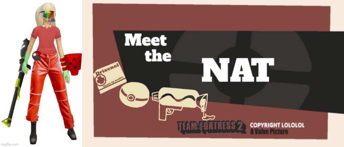image tagged in nat tf2,meet the nat | made w/ Imgflip meme maker
