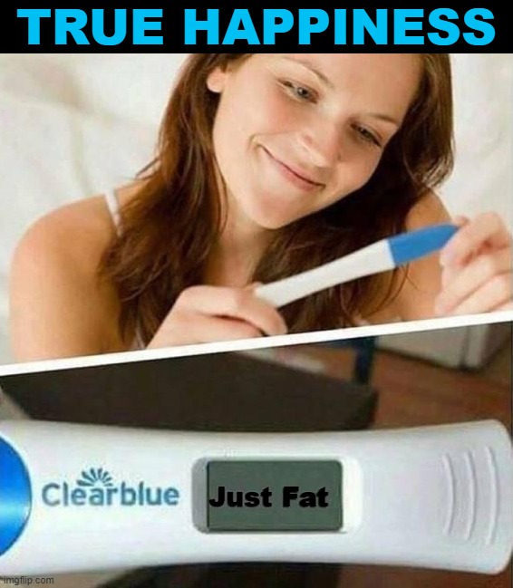 TRUE HAPPINESS; Just Fat | image tagged in pregnancy test | made w/ Imgflip meme maker