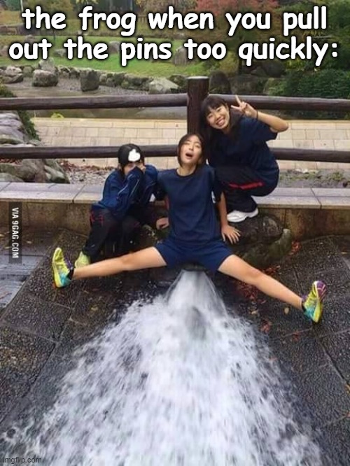 Squirt | the frog when you pull out the pins too quickly: | image tagged in squirt | made w/ Imgflip meme maker
