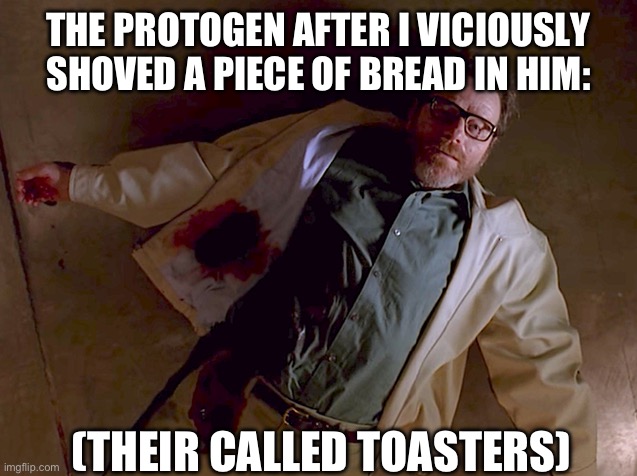 Dead Walter White | THE PROTOGEN AFTER I VICIOUSLY SHOVED A PIECE OF BREAD IN HIM:; (THEIR CALLED TOASTERS) | image tagged in dead walter white | made w/ Imgflip meme maker