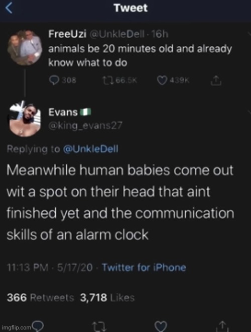 #2,507 | image tagged in funny,birth,animals,babies,humans,insults | made w/ Imgflip meme maker