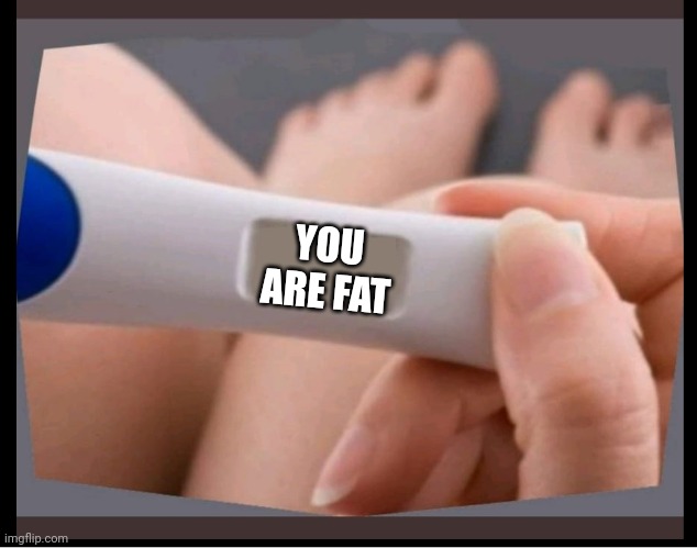 PREGNANCY TEST BLANK | YOU ARE FAT | image tagged in pregnancy test blank | made w/ Imgflip meme maker