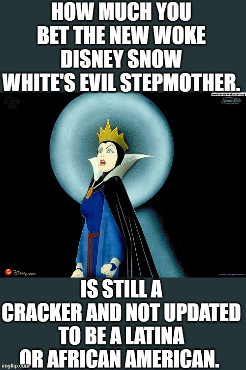 just saying its not about diversity of roles | HOW MUCH YOU BET THE NEW WOKE DISNEY SNOW WHITE'S EVIL STEPMOTHER. IS STILL A CRACKER AND NOT UPDATED TO BE A LATINA OR AFRICAN AMERICAN. | image tagged in democrats,woke,disney | made w/ Imgflip meme maker