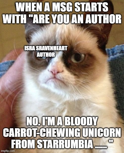 Are you an author no I'm a unicorn writing funny meme | WHEN A MSG STARTS WITH "ARE YOU AN AUTHOR; ISRA SRAVENHEART 
AUTHOR; NO. I'M A BLOODY CARROT-CHEWING UNICORN FROM STARRUMBIA ...... " | image tagged in memes,grumpy cat,writing,author | made w/ Imgflip meme maker