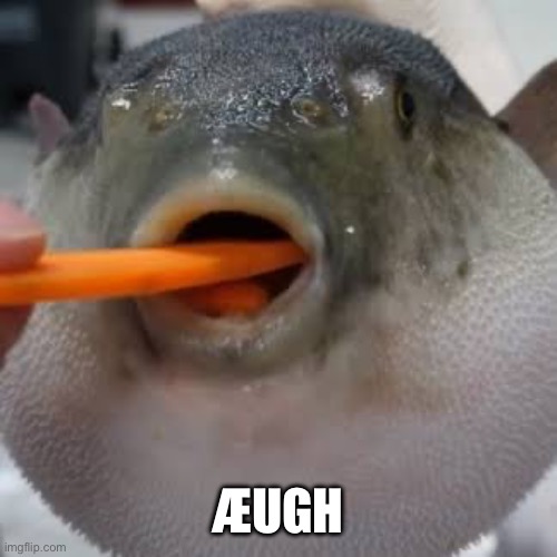 Æugh | ÆUGH | image tagged in ugh | made w/ Imgflip meme maker