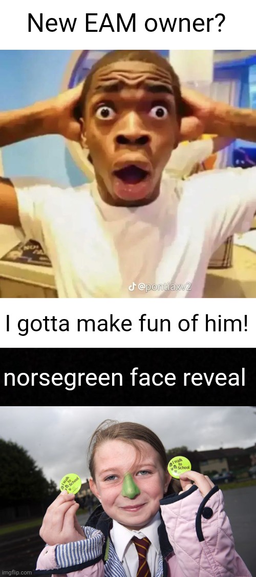 New EAM owner? I gotta make fun of him! norsegreen face reveal | image tagged in shocked black guy,blank | made w/ Imgflip meme maker