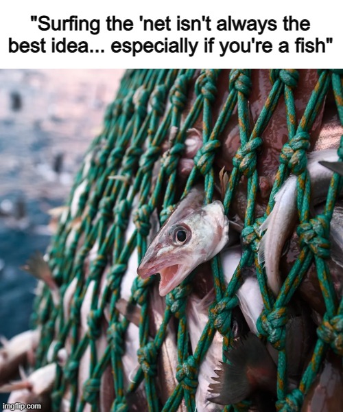 Especially for fish o_o | "Surfing the 'net isn't always the best idea... especially if you're a fish" | made w/ Imgflip meme maker