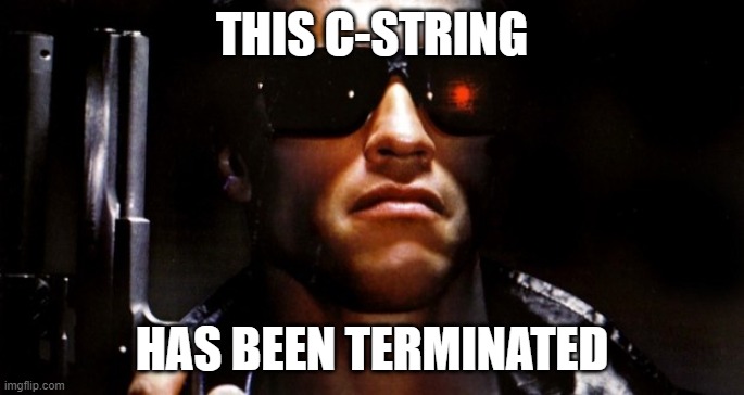C-string | THIS C-STRING; HAS BEEN TERMINATED | image tagged in terminated | made w/ Imgflip meme maker