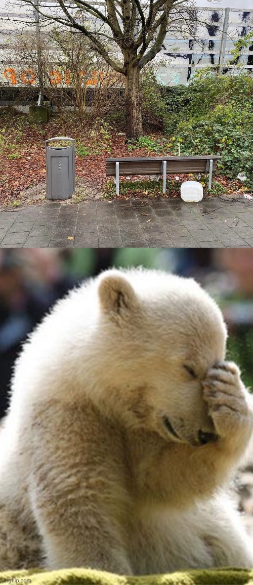 Bench | image tagged in memes,facepalm bear,you had one job,bench,benches,park | made w/ Imgflip meme maker