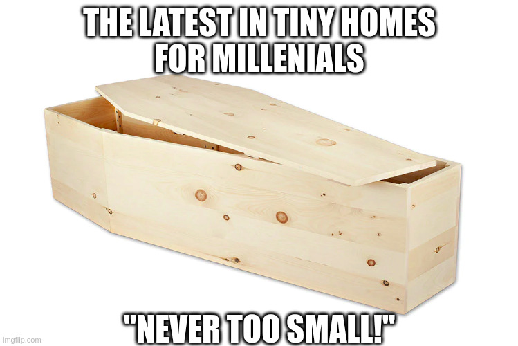 tiny homes | THE LATEST IN TINY HOMES
FOR MILLENIALS; "NEVER TOO SMALL!" | image tagged in tiny homes,millenials,housing,coffin,economy,workers | made w/ Imgflip meme maker