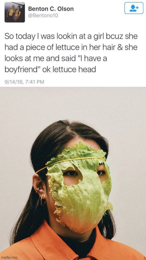 Lettuce mask | image tagged in lettuce mask,girl,lettuce,hair,boyfriend,idiot | made w/ Imgflip meme maker