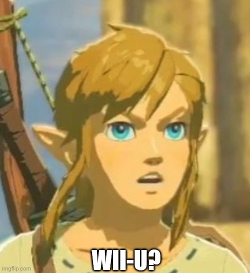 Offended Link | WII-U? | image tagged in offended link | made w/ Imgflip meme maker