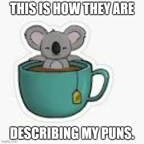 memes by Brad Koala Tea | THIS IS HOW THEY ARE; DESCRIBING MY PUNS. | image tagged in humor | made w/ Imgflip meme maker