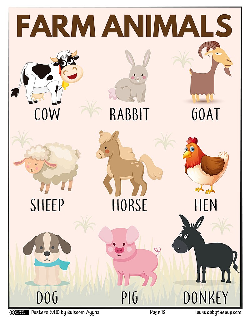 High Quality Farm animals Blank Meme Template