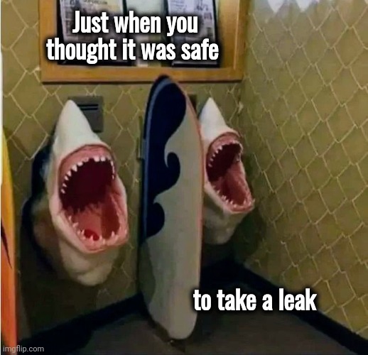 When Theme Parks go wrong | Just when you thought it was safe; to take a leak | image tagged in jaws,movie quotes,going to need a bigger boat,how about no bear | made w/ Imgflip meme maker