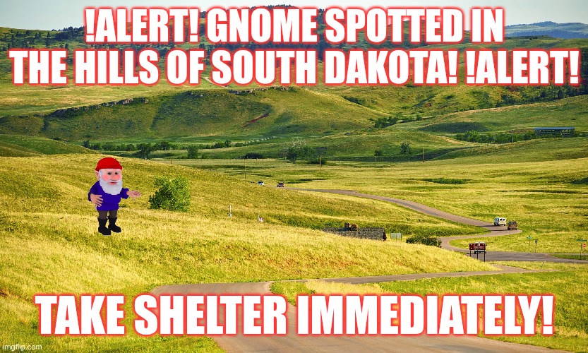 Are they back? | !ALERT! GNOME SPOTTED IN THE HILLS OF SOUTH DAKOTA! !ALERT! TAKE SHELTER IMMEDIATELY! | image tagged in gnome,memes,blank white template,fun,gnomes | made w/ Imgflip meme maker