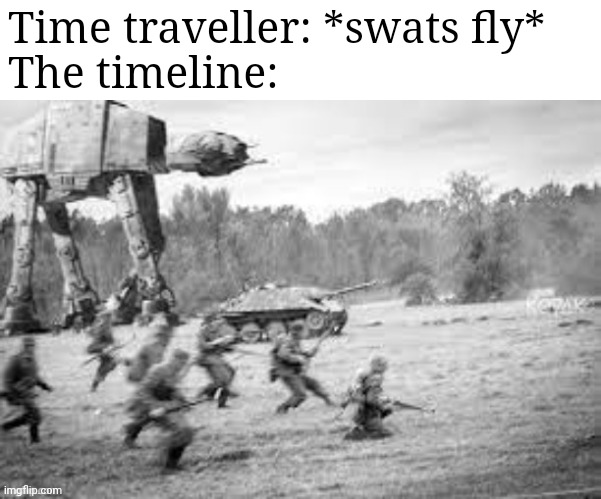 Time traveller: *swats fly*
The timeline: | made w/ Imgflip meme maker