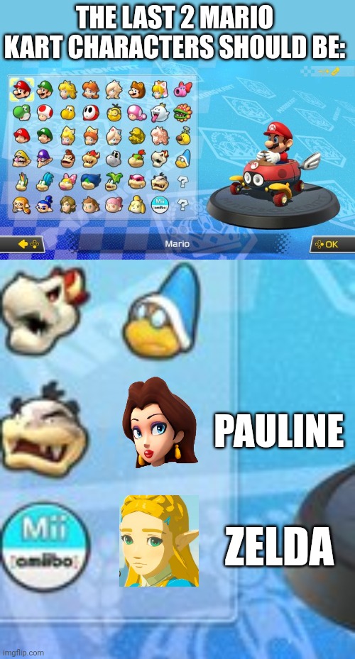 I WOULD LIKE THAT | THE LAST 2 MARIO KART CHARACTERS SHOULD BE:; PAULINE; ZELDA | image tagged in mario kart 8,mario kart,dlc,nintendo switch | made w/ Imgflip meme maker
