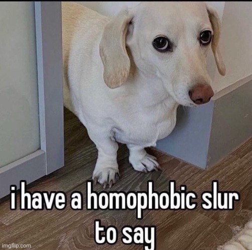 I have a homophobic slur to say | image tagged in i have a homophobic slur to say | made w/ Imgflip meme maker
