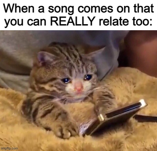 True as heck ^-^ | When a song comes on that you can REALLY relate too: | image tagged in sad cat phone | made w/ Imgflip meme maker