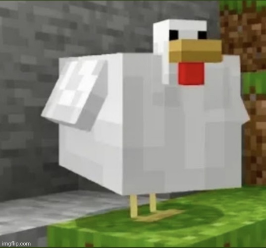 This is a template | image tagged in cursed chicken | made w/ Imgflip meme maker